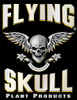 Flying Skull